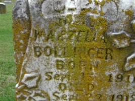 Cozy Bollinger