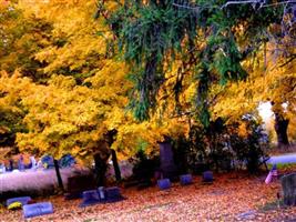 Cressey Cemetery