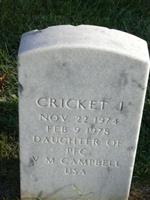 Cricket J Campbell