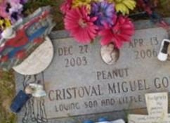 Cristoval Miguel "Peanut" Gomez Cristoval Miguel "Peanut" Gomez