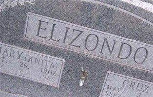 Cruz G Elizondo