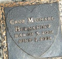 Cruz Michael Hernandez Cruz Michael Hernandez
