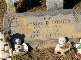 Crystal D Colony Crystal D Colony