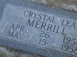 Crystal Lea Merrill Crystal Lea Merrill