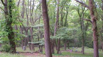 Crystal Stream Cemetery