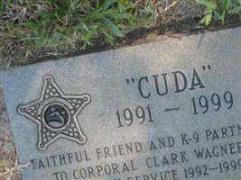 Cuda K-9 Deputy
