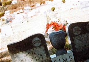 Culver Sims