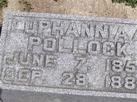 Cuphannia A Pollock