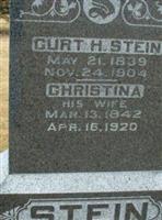 Curtis Henry Stein
