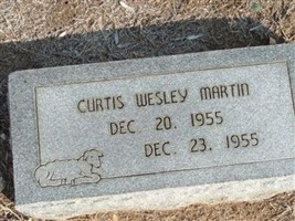 Curtis Wesley Martin