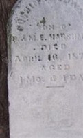 Cushina Edward Harshman