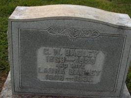 C. W. Bagley