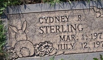 Cydney Renee Sterling
