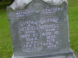 Cyntha Ann Pruner Mitchell