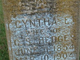 Cyntha E Hedges