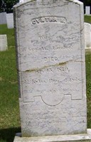 Cyntha H Stevens Larabee