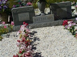 Cyntha J Breshears