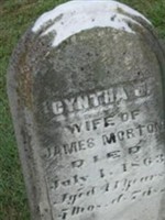 Cyntha J Morton