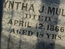 Cyntha J Mullis