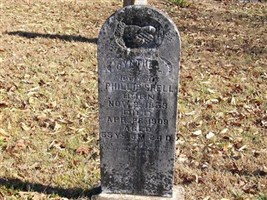 Cyntha L. Collins Shell