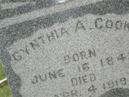 Cynthia A. Hedges Cook