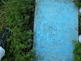 Cynthia A. V. Patman Welch