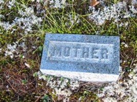 Cynthia J Washburn Mitchell Cynthia J Washburn Mitchell