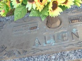 Cynthia Jane Allen