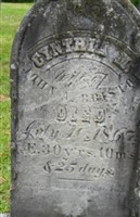 Cynthia M. Dodge Bristol