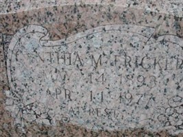 Cynthia M. Fricker