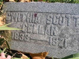 Cynthia Scott Cellar Cynthia Scott Cellar