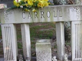 Cynthia Tischer Carroll