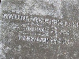 Cynthia Tischer Carroll