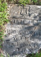 Cynthia Wing