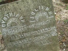 Cynthiann French DePriest Cynthiann French DePriest