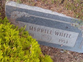 Cyrus Merrill White Cyrus Merrill White