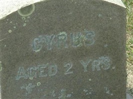 Cyrus White Cyrus White