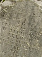 D Alphonse LeLoup D Alphonse LeLoup