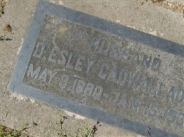 D Esley Cadwallader D Esley Cadwallader