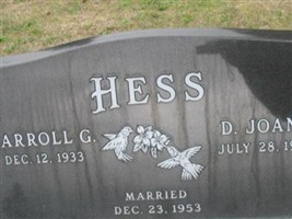 D. Joann Hess