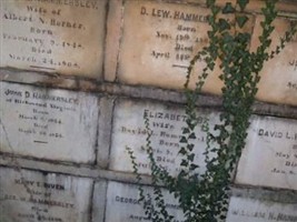 D. Lew Hammersley, Jr D. Lew Hammersley, Jr