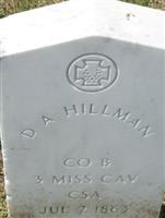 D. A. Hillman