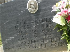 Daisy A Goff