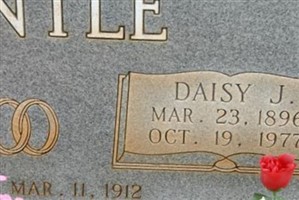 Daisy Clementine Johnston Gentle Daisy Clementine Johnston Gentle