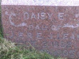 Daisy E Leak Daisy E Leak
