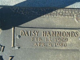 Daisy Hammonds Ray Daisy Hammonds Ray