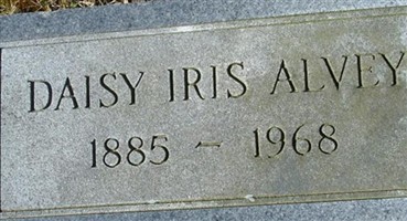 Daisy Iris Alvey