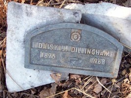 Daisy J Dillingham Daisy J Dillingham