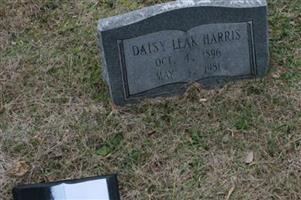 Daisy Leak Harris