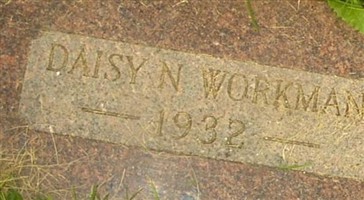 Daisy N Workman